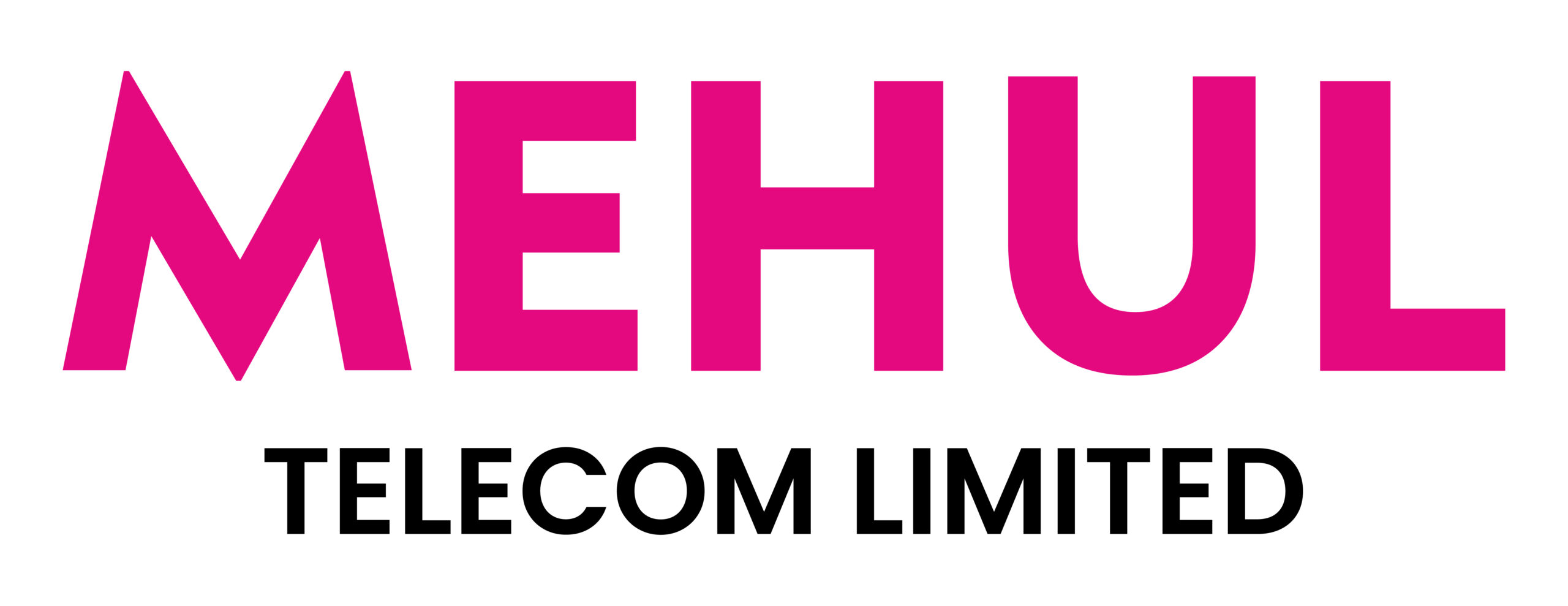 Mehul Telecom logo