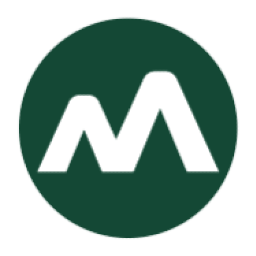 Moneyview logo