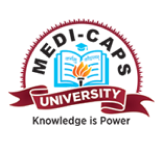 Medi Caps logo