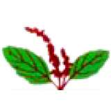 Tulasee Bio-Ethanol logo
