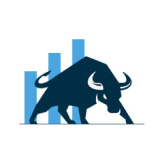 Daulat Securities logo