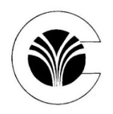 CLIO Infotech logo