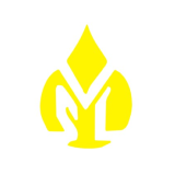 Vijay Solvex logo
