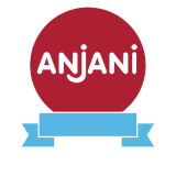 Anjani Synthetics logo