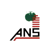 ANS Industries logo