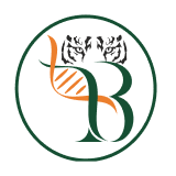 3B BlackBio DX logo