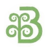 Brijlaxmi Leasing & Finance logo