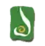 Bengal Tea & Fabrics logo