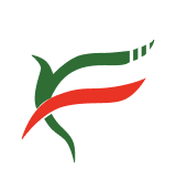 First Fintec logo