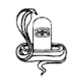 Sri Amarnath Finance logo