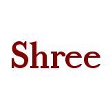Shree Securities logo