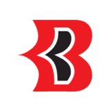 Beekay Steel Indus logo