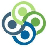 Lex Nimble Solutions logo