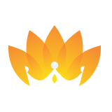Shahlon Silk Industries logo
