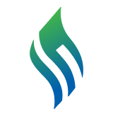 Safa Systems & Technologies logo
