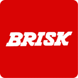 Brisk Technovision logo