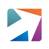 Pune e-Stock Broking logo