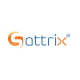 Sattrix Information Security logo