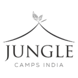 Jungle Camps logo