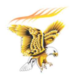 NSB BPO Solutions logo