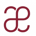 The Anup Engineering logo