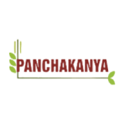 Baba Food Processing logo