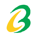 Brace Port Logistics logo
