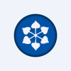 DCM Shriram Industries logo