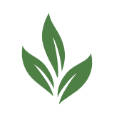 Warren Tea logo