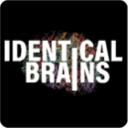 Identical Brains Studios logo