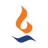 Max India logo