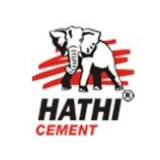 Saurashtra Cement logo
