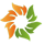 Solara Active Pharma Sciences logo