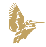 Cranes Software International logo