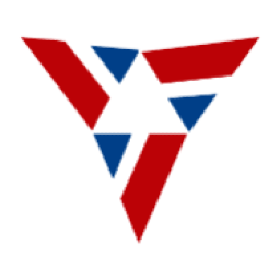 Vidya Wires logo