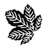 Seasons Textiles logo